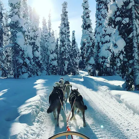 Arctic Experience Loma-asunnot *