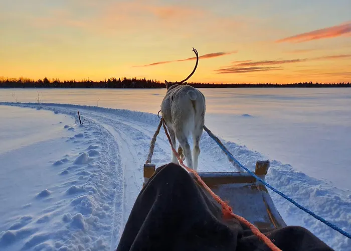Semesterbostad Arctic Experience