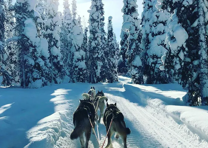 Arctic Experience Semesterbostad *